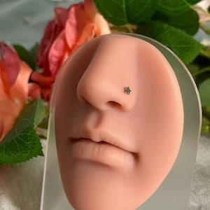 May include: A close-up of a nose and lips on a mannequin, with a small star-shaped nose stud. The mannequin is set against a blurred background of flowers and greenery. The nose stud is a small, silver-colored star.