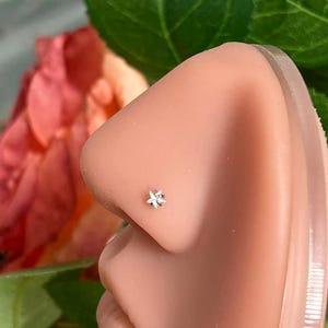 May include: A small, silver-colored nose stud in the shape of a flower is shown. The stud is set on a light skin tone. The background includes a pink flower and green leaves.