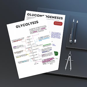 Może przedstawiać: Ręcznie narysowany schemat wyjaśniający proces glikolityczny i glukoneogenezę. Schemat znajduje się na białym papierze z czarnym, czerwonym, niebieskim, zielonym i fioletowym atramentem. Schemat zawiera wzory chemiczne glukozy, fruktozy i pirogronianu. Schemat jest zatytułowany "Glikolityczny" i "Glukoneogeneza".