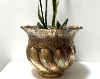 May include: A decorative, antique-style brass planter with a textured surface and scalloped design. The planter holds a snake plant with long, green and yellow striped leaves. The pot sits on a white surface.