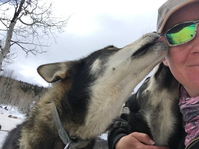Sleddog Dogsled Art Brothers Love Graphite Print