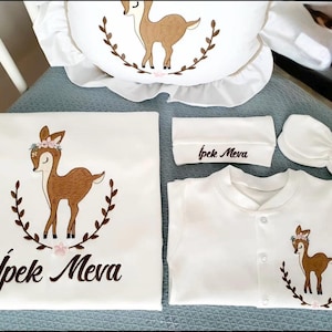 Baby Girl Hospital Coming Home Outfit Set, Baby Girl Clothing, Newborn Hospital Outfit, Baby Shower Gift, Personalized Blanket and Pillow