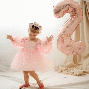 Blush Pink Baby Girl First Birthday Dress, Girl Butterfly Tutu Dress, Birthday Outfit with Puffy Sleeve, Elegant Tulle Dress, Fairy Dress