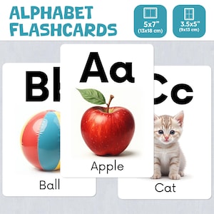 Flashcards realistas do alfabeto para crianças | Letras maiúsculas e minúsculas | Cartões do alfabeto para pré-escola | Tamanho A4 e carta dos EUA