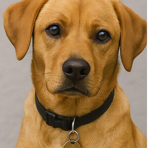 Aangepaste Pixar-stijl huisdierportret Cartoon hond of kat illustratie digitale download met voor en na
