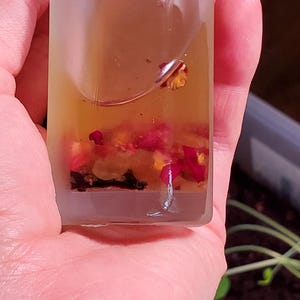 May include: A frosted glass bottle filled with a yellow liquid and small red flower petals. The bottle is held in a hand, with a blurred background of green plants.