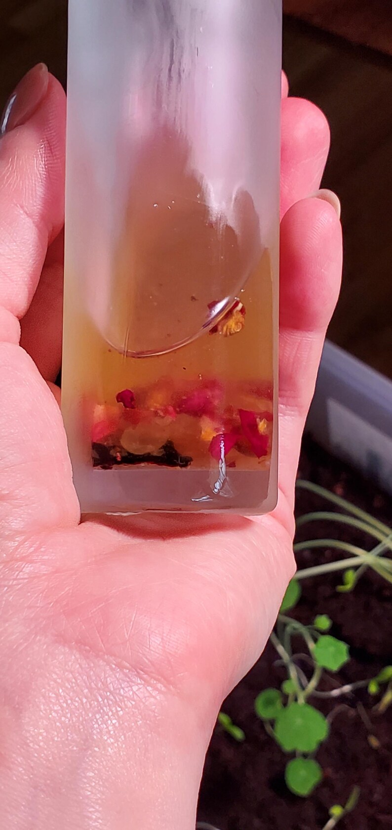 May include: A frosted glass bottle filled with a yellow liquid and small red flower petals. The bottle is held in a hand, with a blurred background of green plants.