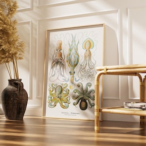 May include: A framed vintage print featuring detailed illustrations of various cephalopods in shades of brown, blue, and green. The print is displayed in a light-colored wooden frame, leaning against a white wall. A dark vase with dried plants and a bamboo side table are in the foreground.