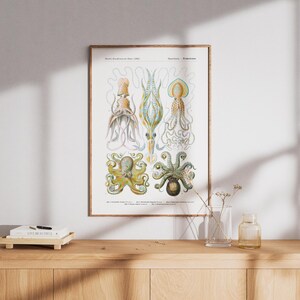 May include: A framed vintage print featuring detailed illustrations of various octopus species in shades of yellow, blue, and green. The artwork is displayed on a wooden cabinet, with a small book and decorative vase in the foreground.
