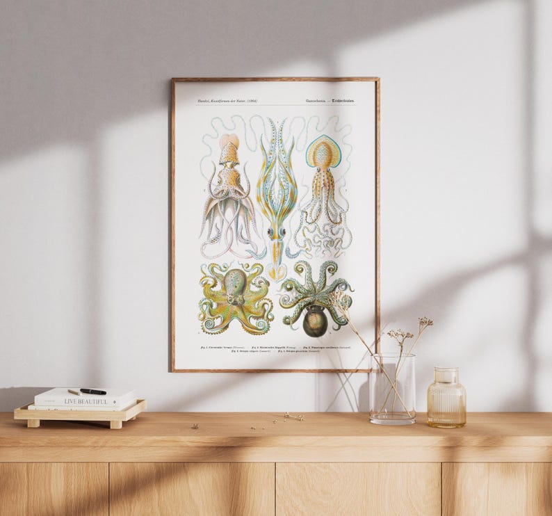 May include: A framed vintage print featuring detailed illustrations of various octopus species in shades of yellow, blue, and green. The artwork is displayed on a wooden cabinet, with a small book and decorative vase in the foreground.