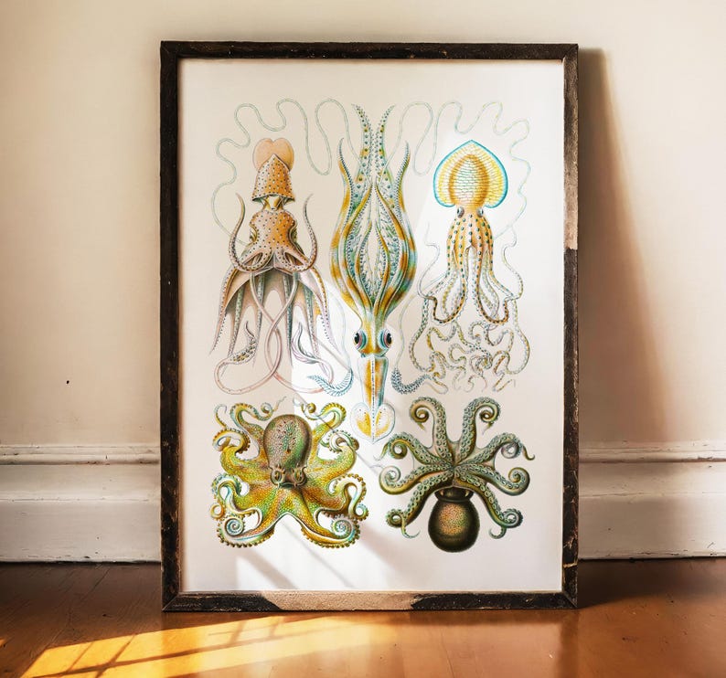 May include: A framed vintage print featuring detailed illustrations of various squid and octopus species. The artwork showcases a range of colors, including yellow, blue, and green, with intricate line work. The frame is dark brown, adding a classic touch to the marine-themed art.