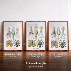 May include: Three framed vintage-style prints featuring detailed illustrations of various octopus species in shades of yellow, blue, and green. The prints are displayed in wooden frames against a white wall and a wooden floor. The text on the bottom says "Artwork style Style de l'&oelig;uvre".