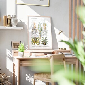 May include: A framed vintage-style print of various octopus species in a light wood frame. The print is displayed on a light wood desk with a small gold desk lamp. The desk is in a well-lit room with a neutral color palette.
