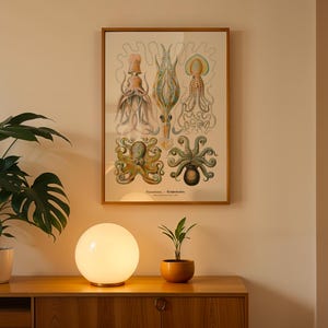 May include: A framed vintage print featuring detailed illustrations of various octopus species in shades of orange, green, and blue. The print is displayed above a wooden cabinet, with a glowing spherical lamp and a potted plant in front.