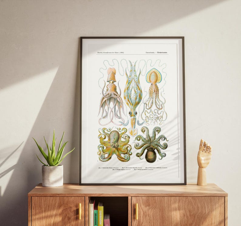May include: Framed vintage print featuring detailed illustrations of various octopus species. The artwork showcases a variety of colors, including yellow, green, and cream, with scientific labels. The print is displayed on a wooden cabinet.