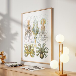 May include: A framed vintage-style print featuring detailed illustrations of various cephalopods, including octopuses and squid, in shades of yellow, blue, and green. The artwork is displayed on a light-colored wall, with a wooden frame.