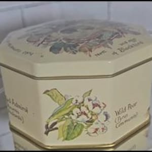 Bristows of Devon Butterfly Tin – Rural Life Countryside Collection