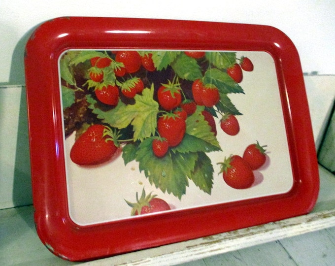 Tray Vintage 13 X 18 Rectangle Serving Tray Metal Enameled With