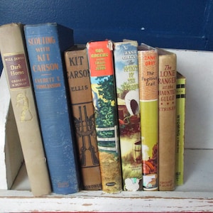 Puede incluir: Una colección de libros antiguos con cubiertas coloridas, incluyendo títulos como "Dark Horse", "Scouting with Kit Carson" y "The Lone Ranger". Los libros están dispuestos en una estantería blanca sobre un fondo azul, mostrando su aspecto envejecido.