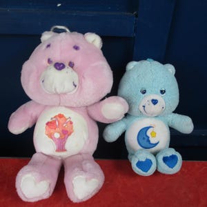 May include: Two plush Care Bears. One is pink with a flower basket design on its belly. The other is light blue with a crescent moon and star design. Both have heart-shaped feet and embroidered details.