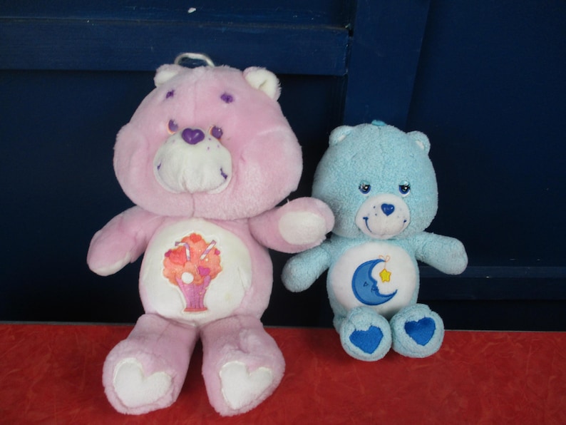 May include: Two plush Care Bears. One is pink with a flower basket design on its belly. The other is light blue with a crescent moon and star design. Both have heart-shaped feet and embroidered details.