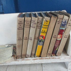 Kinderbücher Vintage Lot von 9 Franklin W. Dixon The Hardy Boys Mystery Books Tan und Braun Spines Wildkatze Swamp, Broken Blade, Des Teufels