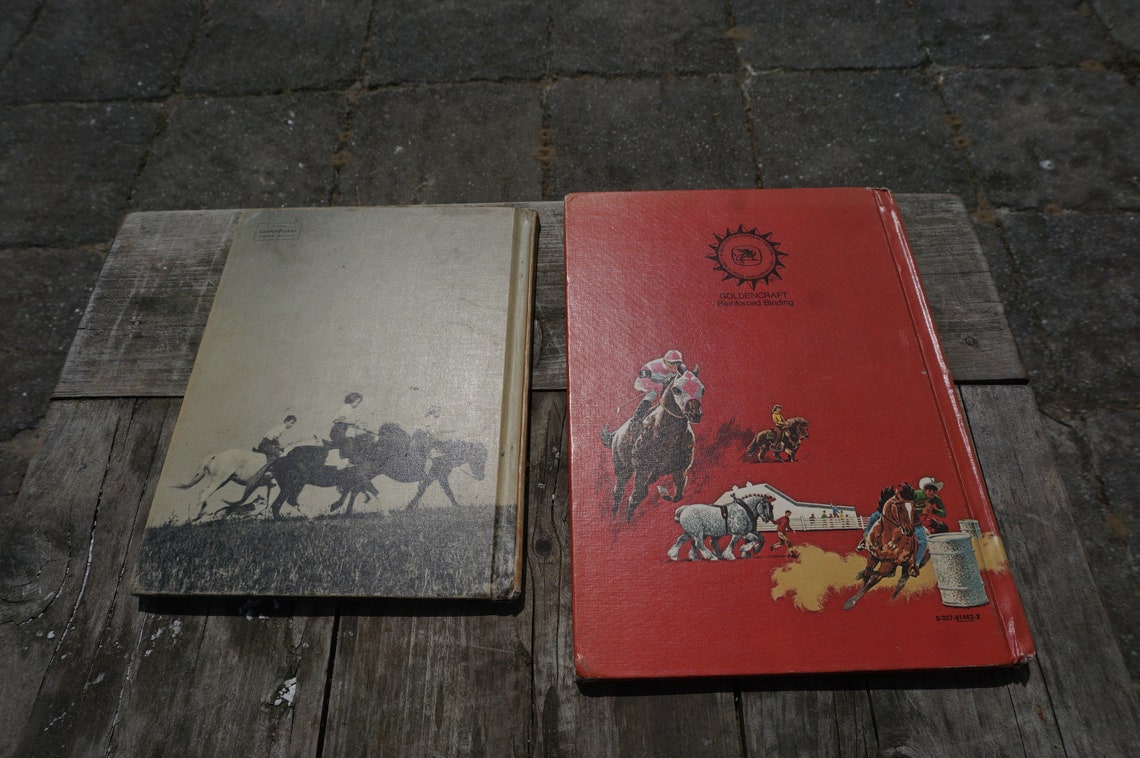 the one dollar horse book the one dollar horse book