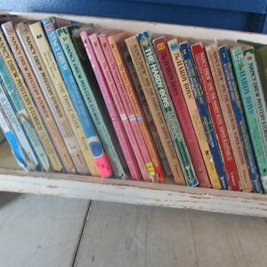 Libros infantiles Lote mixto vintage de 22 historias de misterio de Nancy Drew Misterios de los Hardy Boys Nancy Drew y Hardy Boys y archivos de casos