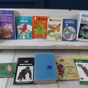 Lot of 11 Vintage Nature Guide books, Golden Guides, Peterson Field Guides and others Birds, Trees, Rocks and Minerals, Butterflies, Geology