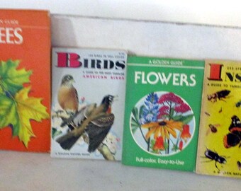 Golden Guides lot of 4 Birds 129 birds in color 1956 Trees 143 trees in color, 1956 Flowers 1987 and Insects 1964