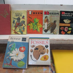 Pode incluir: Uma coleção de sete livros educativos vintage, incluindo títulos como Families of Birds, Trees, Birds, Rocks and Minerals, Botany e Fossils. Os livros apresentam capas ilustradas coloridas com vários temas de história natural.