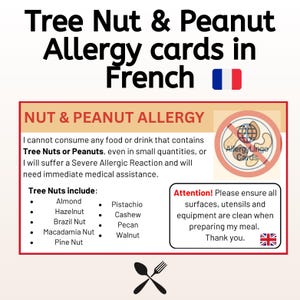 English to French Peanut & Nut Allergy Card – For Safe Eating While Travelling