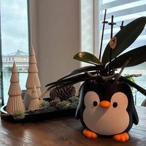 Könnte beinhalten: Ein schwarz-weißer, pinguinförmiger Keramikübertopf mit orangefarbenem Schnabel und Füßen, der eine grüne Orchidee mit dunklen Blättern enthält. Der Übertopf hat einen runden Körper, kleine Flügel und einen weißen Bauch auf einer Holzoberfläche.