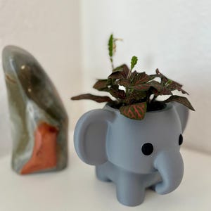 Könnte beinhalten: Ein grauer elefantenförmiger Blumentopf mit einer kleinen Pflanze mit roten und grünen Blättern. Der Topf hat schwarze Augen und einen Rüssel. Ein dekorativer Stein befindet sich im Hintergrund.