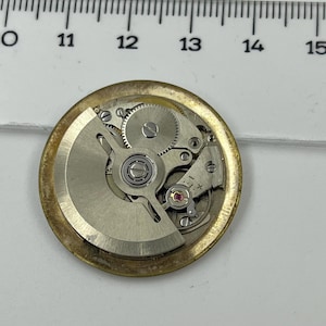 May include: A detailed view of a watch movement, showcasing its complex gears and mechanisms. The circular movement has a gold-toned outer casing and silver-coloured internal parts. A ruler is positioned above, with markings from 28 to 38 cm.