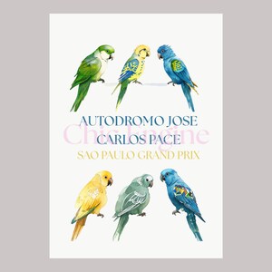 Sao Paulo Grand Prix Printable
