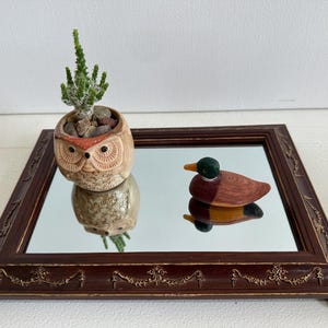 May include: A decorative framed mirror with a brown wooden frame, featuring an owl-shaped planter with a small cactus and a wooden duck figurine. The frame has ornate gold accents and rests on small feet.