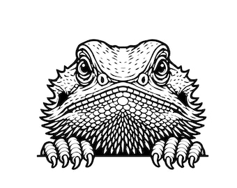 Cabeza de dragón barbudo asomando / svg png eps / archivo de corte gráfico vectorial clip art láser / descarga digital instantánea para uso comercial