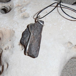 Wood Snake This pendant features a piece of Petrified Wood that has a Silver Snake coiled around it. image 5