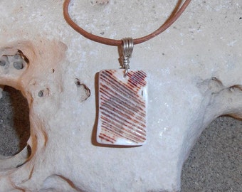 Shell pendant- CONTRAST features a piece of shaped and polished Lion's Paw Shell with a Silver wire bail.