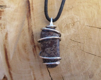 Tried & True- This Spiral Seed Pendant features a piece of polished fossilized Dinosaur Bone that has been Spiral wrapped in Silver.