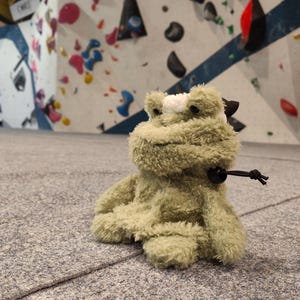 Cute Animal Climbing Chalk Bags