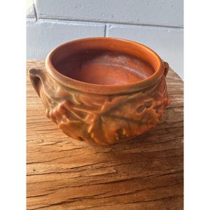Roseville Pottery Bushberry Jardiniere 657-3  Terra Cotta Background