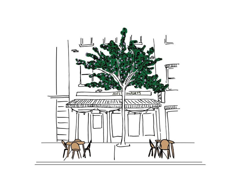 May include: A black and white line drawing of a storefront with a green tree in front. The storefront has a sign that reads "Joe's Imports". There are tables and chairs set up outside the store.