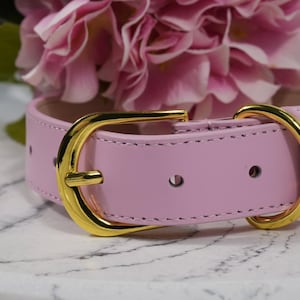 Op de afbeelding: Een lichtroze leren hondenhalsband met een goudkleurige gesp. De halsband is gestikt met bijpassend roze garen. De achtergrond toont roze bloemen.