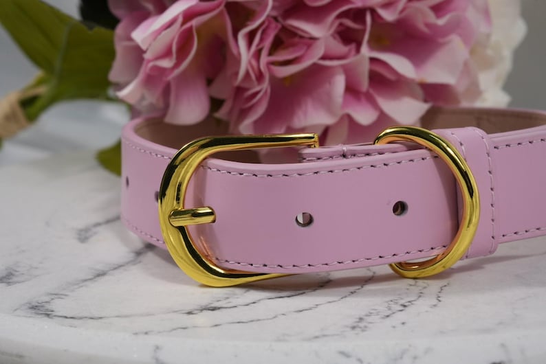 Op de afbeelding: Een lichtroze leren hondenhalsband met een goudkleurige gesp. De halsband is gestikt met bijpassend roze garen. De achtergrond toont roze bloemen.