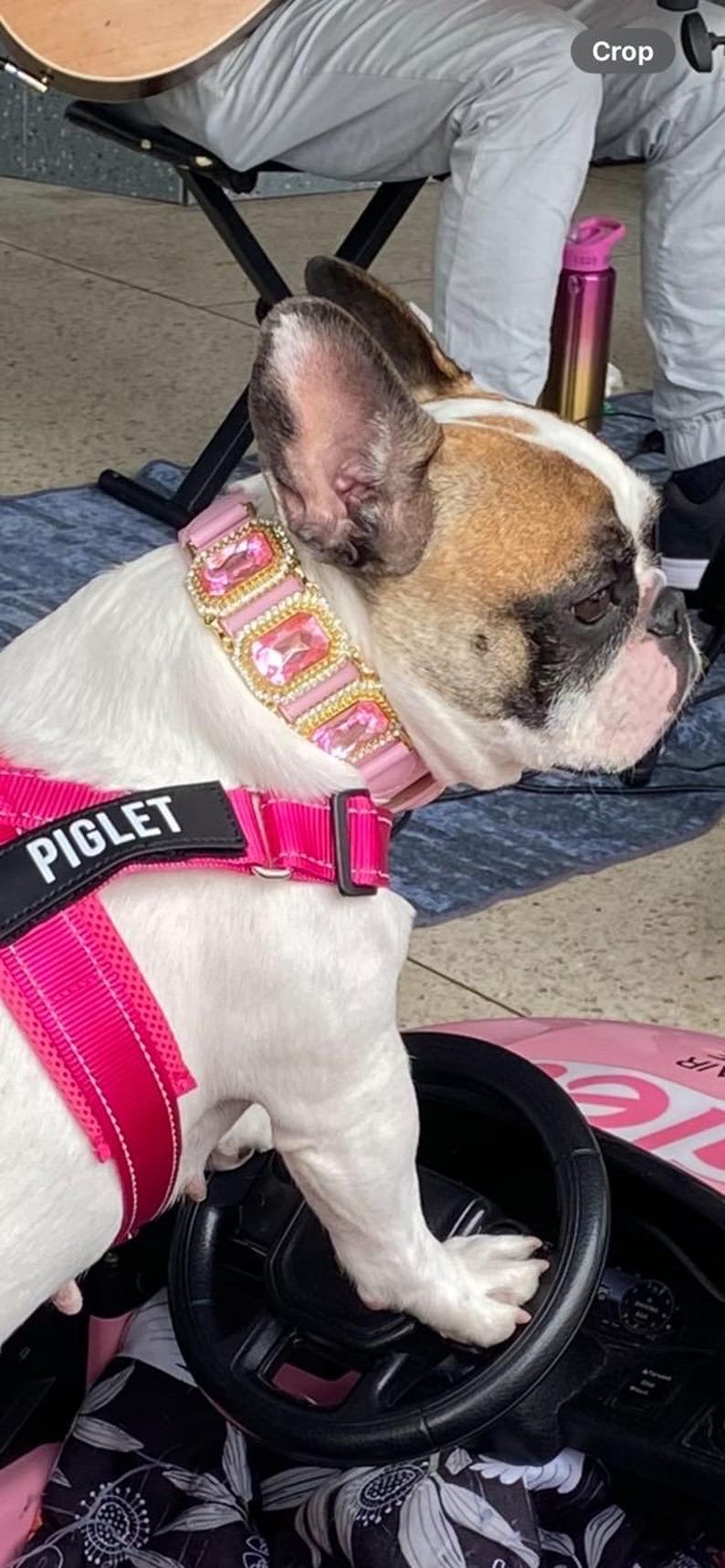 Op de afbeelding: Een wit en bruin Franse Bulldog met een roze juwelen halsband en een bijpassend roze harnas met de naam "PIGLET" erop. De hond zit in een roze speelgoedauto, met zijn poot op het stuur.