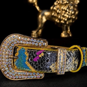 Könnte beinhalten: Ein Gürtel mit einem Riemen im Schlangenledermuster in den Farben Gelb, Blau, Schwarz und Magenta. Die goldfarbene Schnalle und die Gürtelschlaufe sind mit zahlreichen irisierenden, klaren, runden Strasssteinen besetzt, die das Licht reflektieren.