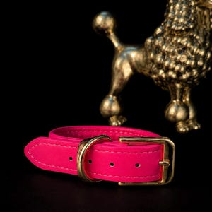 Puede incluir: Un collar de cuero rosa intenso con una hebilla de metal dorado pulido y una anilla en D a juego. El collar tiene costuras visibles a lo largo de los bordes y varios orificios de ajuste para un cierre seguro, presentado sobre un fondo oscuro.