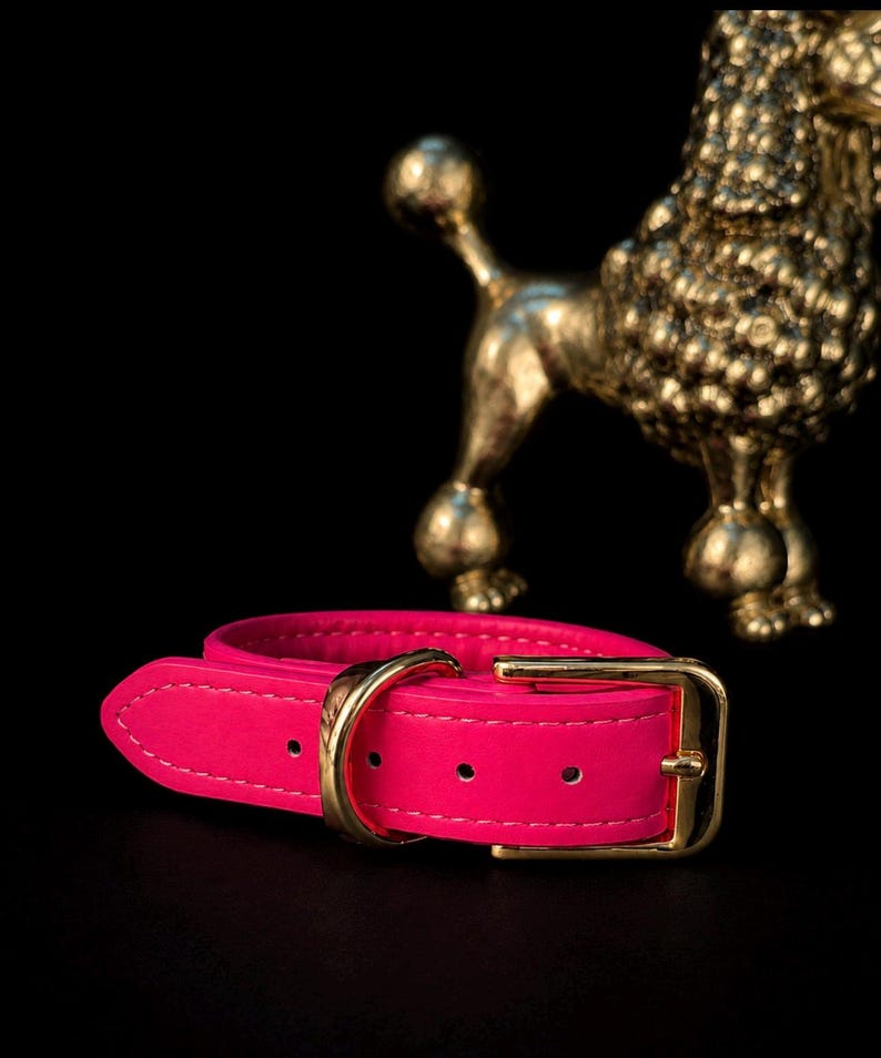 Puede incluir: Un collar de cuero rosa intenso con una hebilla de metal dorado pulido y una anilla en D a juego. El collar tiene costuras visibles a lo largo de los bordes y varios orificios de ajuste para un cierre seguro, presentado sobre un fondo oscuro.